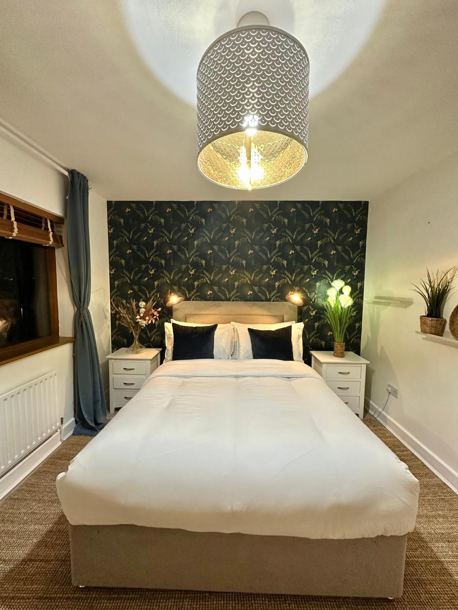 Blush Jungle - Homestay Dublin Exterior foto